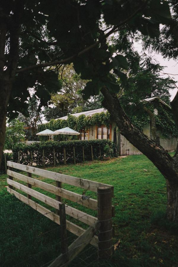 Converted Barn - Tiger House Hermitage Havelock North Exterior foto