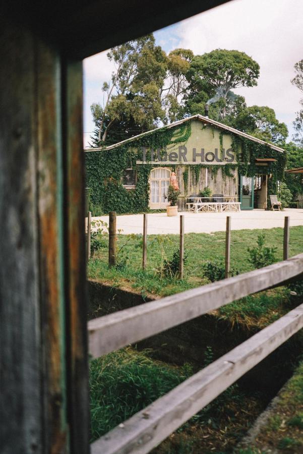 Converted Barn - Tiger House Hermitage Havelock North Exterior foto