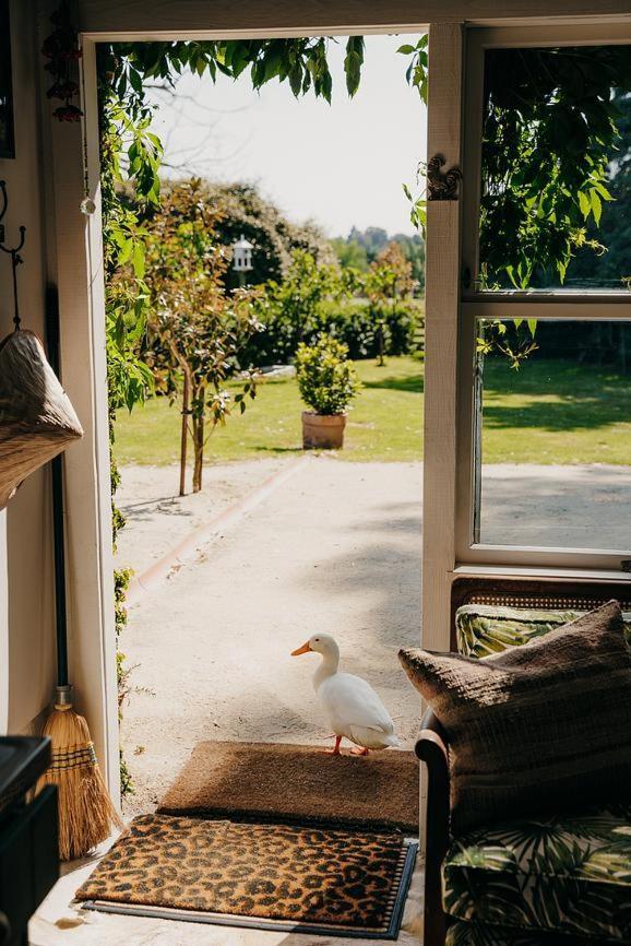 Converted Barn - Tiger House Hermitage Havelock North Exterior foto